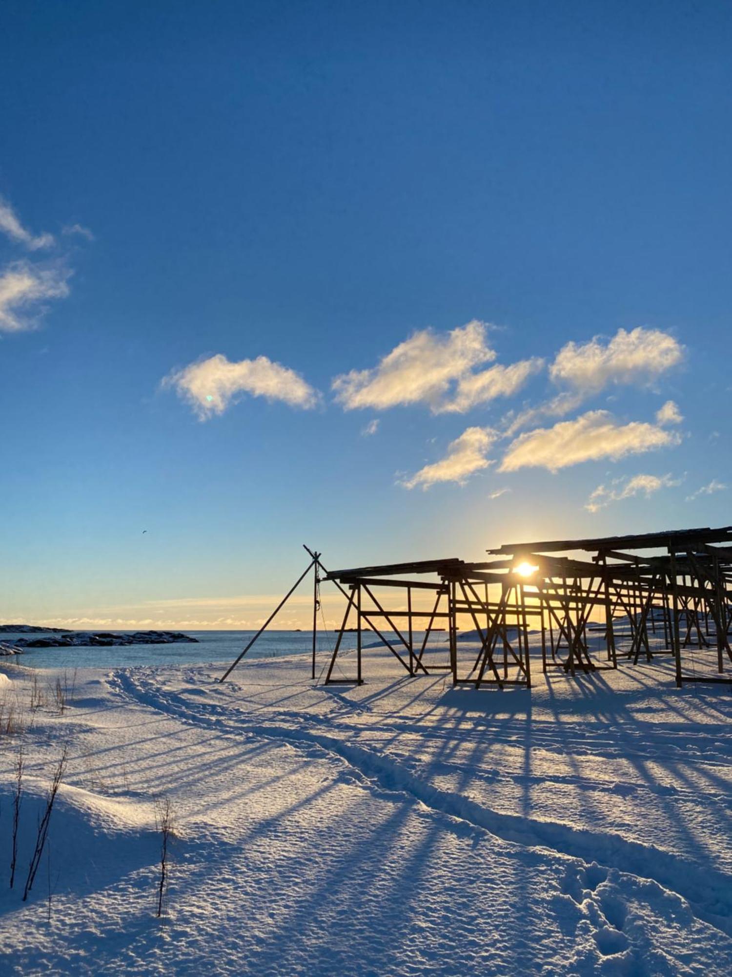Superior Cabin Ballstad Lofoten Eksteriør billede
